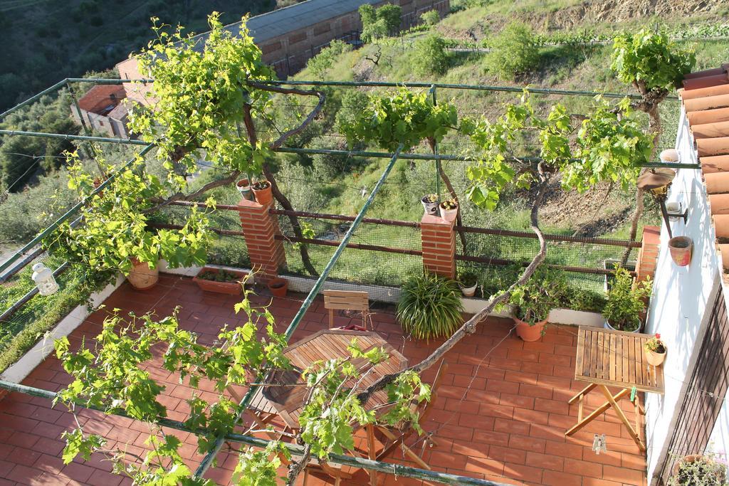 Cal Millo Villa Vilella Alta Екстериор снимка